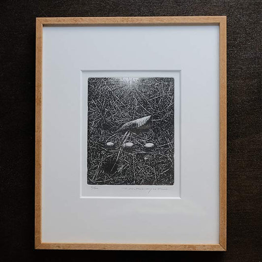 銅版画「転位 '93-地(種子)」中林忠良