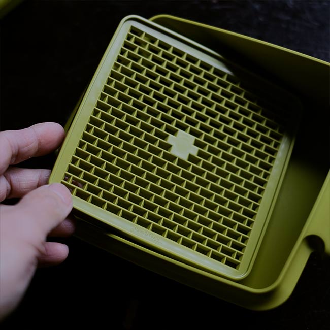 TUPPERWARE Lunch Box