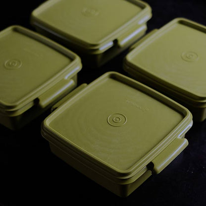 TUPPERWARE Lunch Box