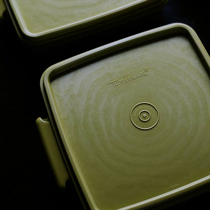 TUPPERWARE Lunch Box