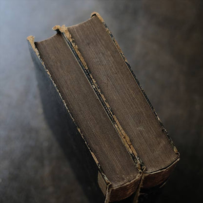 1830年代のドイツ語辞書（ディスプレイブック）