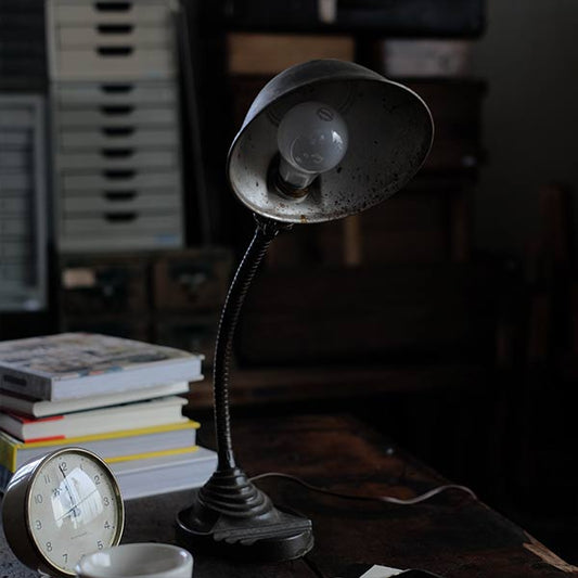 Eagle Gooseneck Desk Lamp