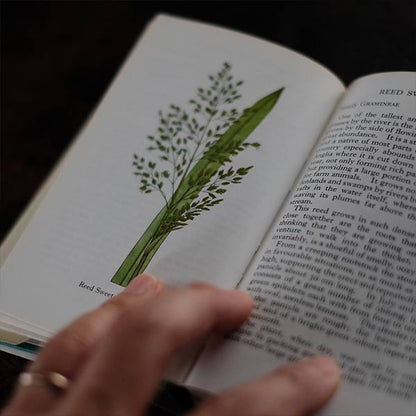 The Observer's Book of GRASSES