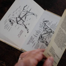 画像をギャラリービューアに読み込む, The Observer&#39;s Book of HORSES AND PONIES
