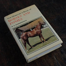 画像をギャラリービューアに読み込む, The Observer&#39;s Book of HORSES AND PONIES
