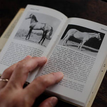 画像をギャラリービューアに読み込む, The Observer&#39;s Book of HORSES AND PONIES
