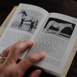 The Observer's Book of HORSES AND PONIES