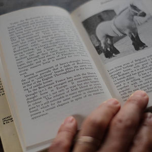 The Observer's Book of HORSES AND PONIES