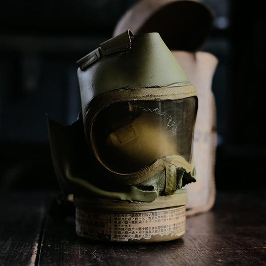 Gas mask, air defense gas mask