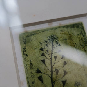 水彩画「Shepherds Purse」