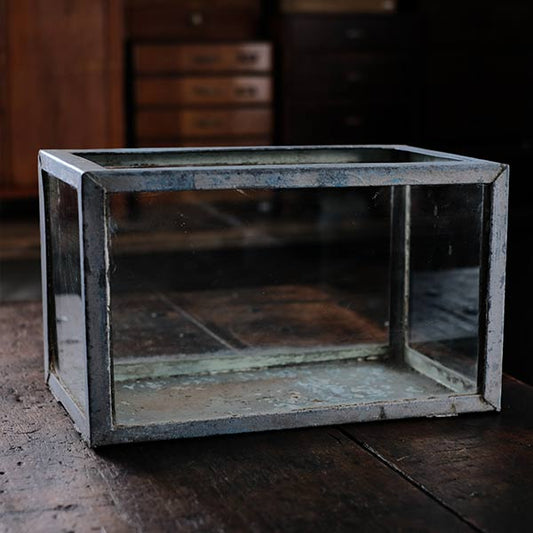 Rusty tin fish tank