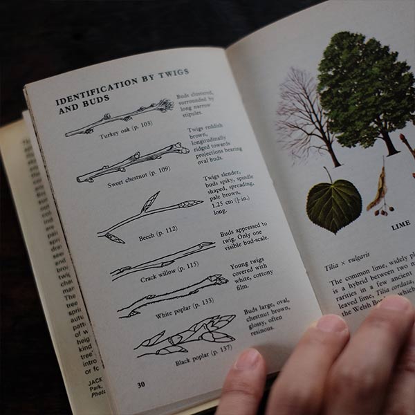 The Observer's Book of TREES