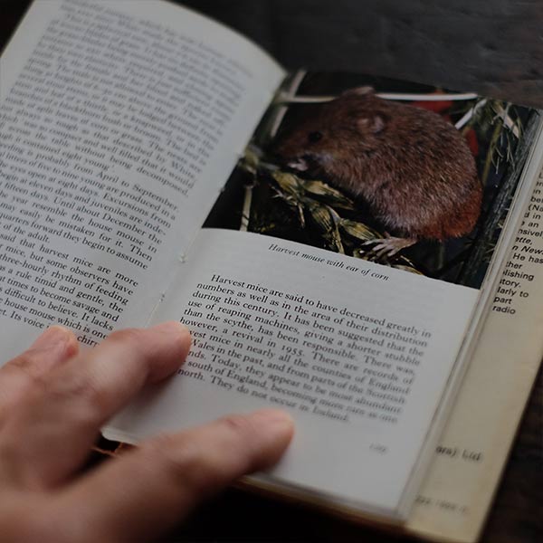 The Observer's Book of WILD ANIMALS